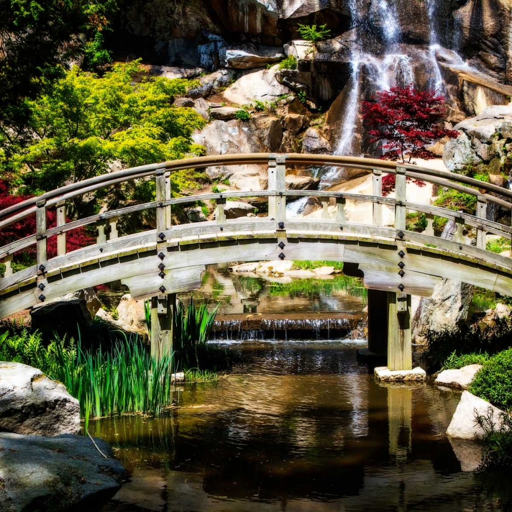Japanese Garden V art print by Alan Hausenflock for $57.95 CAD