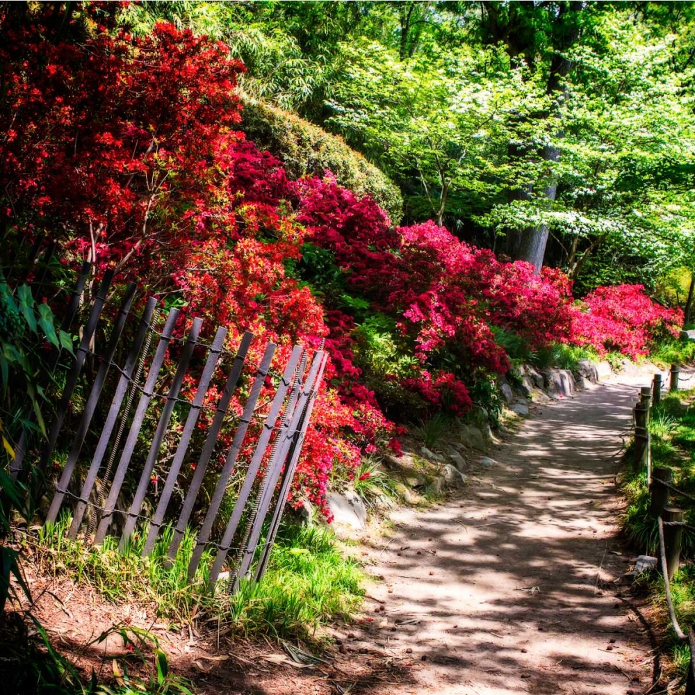 Japanese Garden VI art print by Alan Hausenflock for $57.95 CAD
