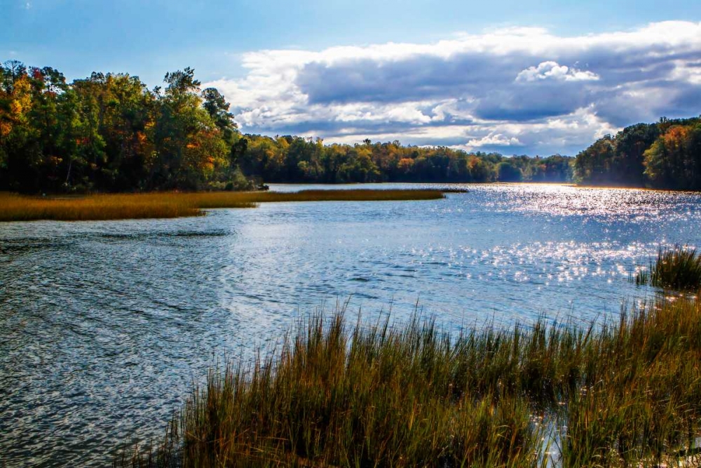 Felgates Creek II art print by Alan Hausenflock for $57.95 CAD