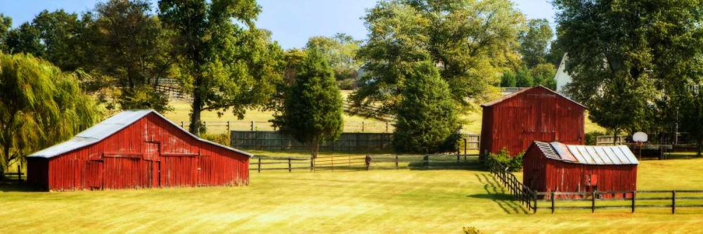 Louisa County I art print by Alan Hausenflock for $57.95 CAD