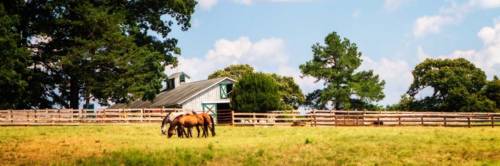 Louisa County II art print by Alan Hausenflock for $57.95 CAD