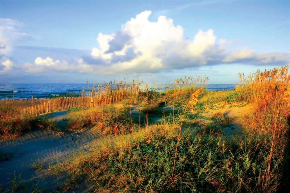Dunes II art print by Alan Hausenflock for $57.95 CAD