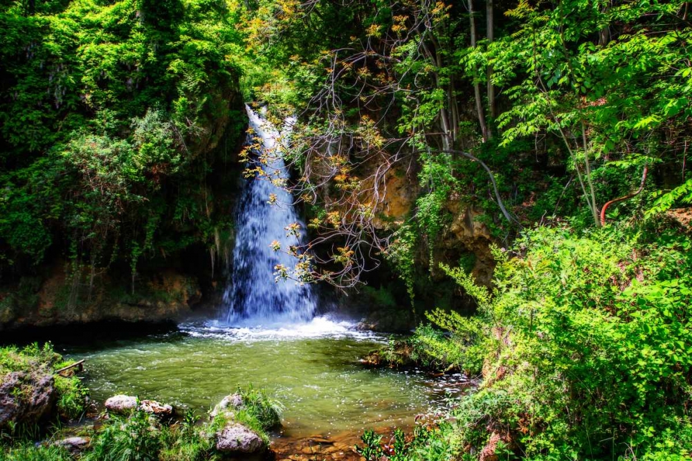 Deep Woods Waterfall II art print by Alan Hausenflock for $57.95 CAD