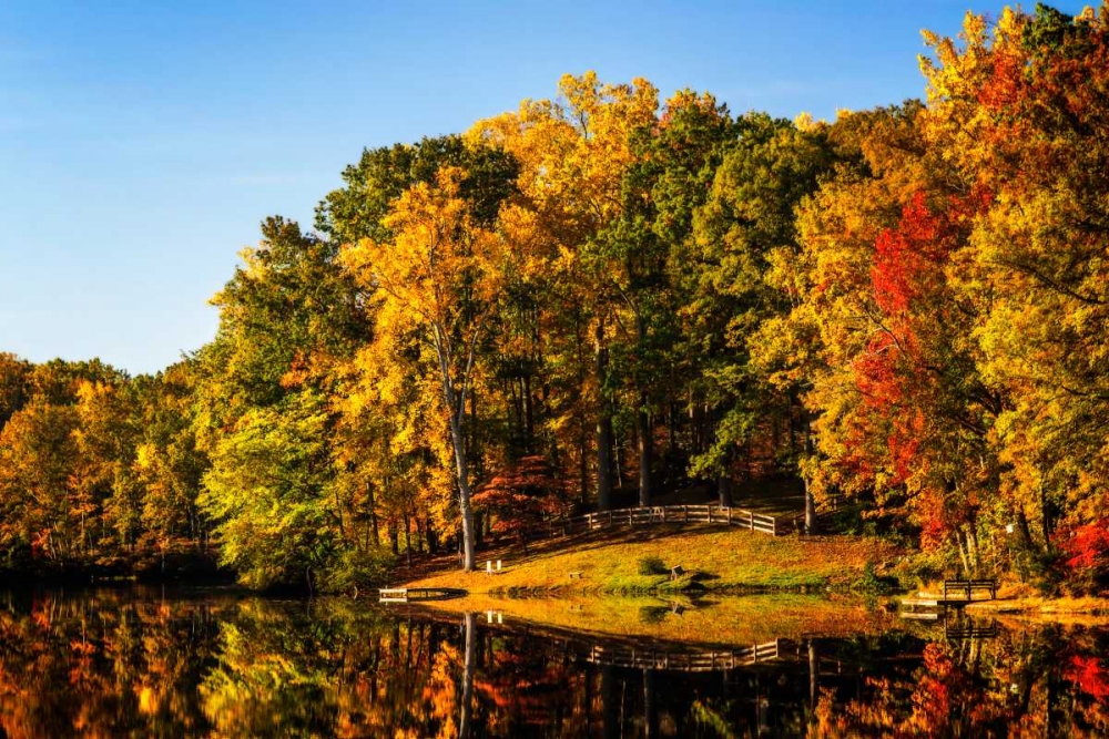 Serene Lake art print by Alan Hausenflock for $57.95 CAD