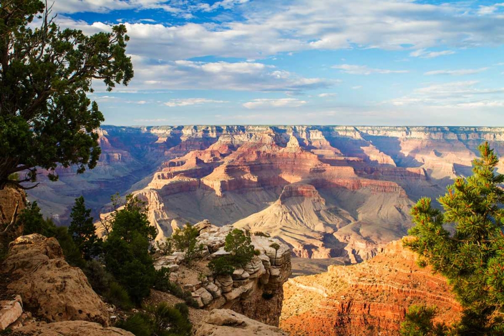 Canyon Shadows I art print by Alan Hausenflock for $57.95 CAD