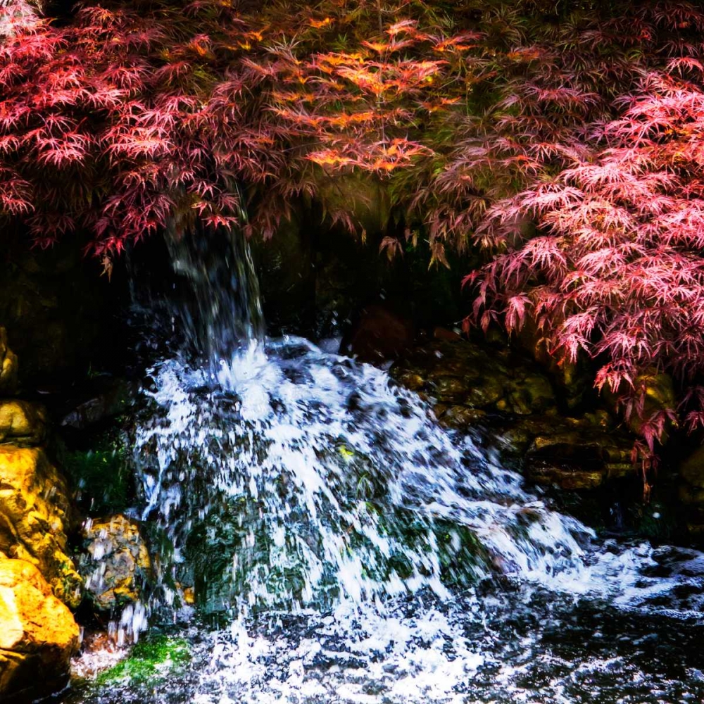 Gentle Waterfall I art print by Alan Hausenflock for $57.95 CAD
