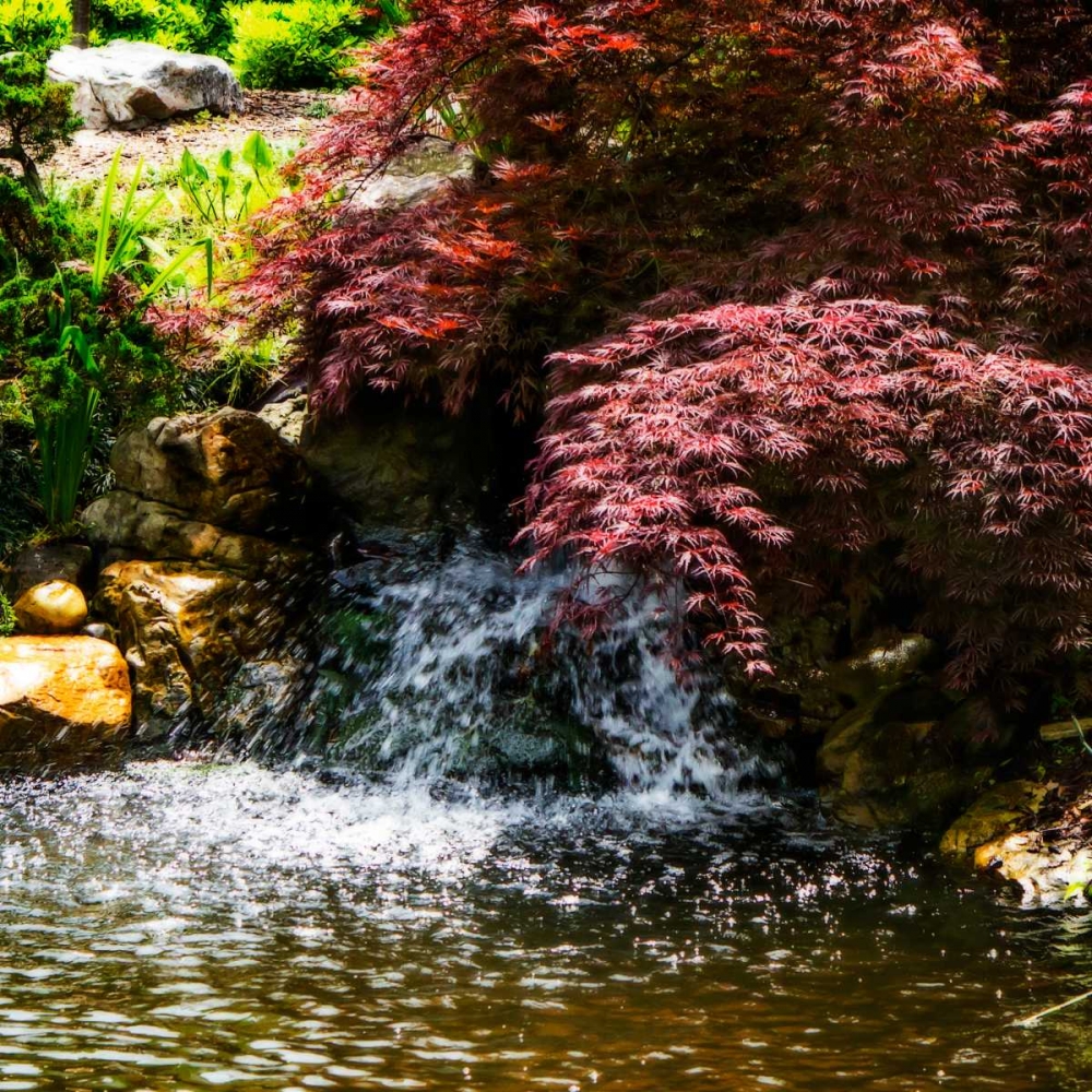 Gentle Waterfall II art print by Alan Hausenflock for $57.95 CAD