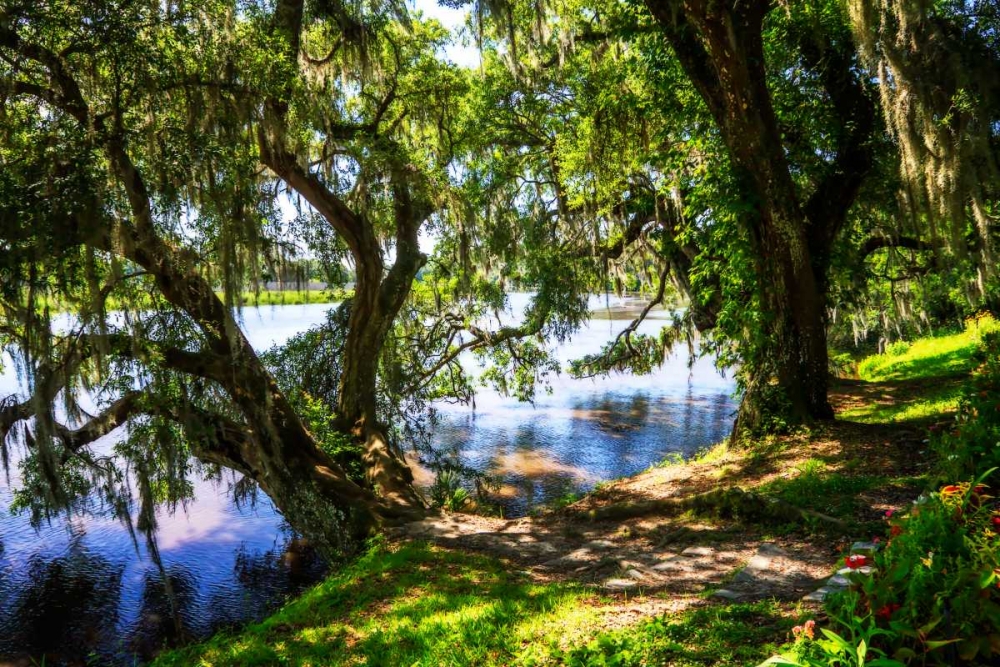 Ashley River Bank I art print by Alan Hausenflock for $57.95 CAD