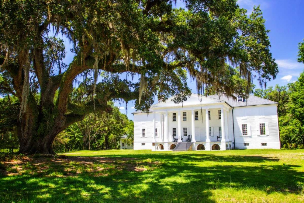 Hampton Plantation art print by Alan Hausenflock for $57.95 CAD