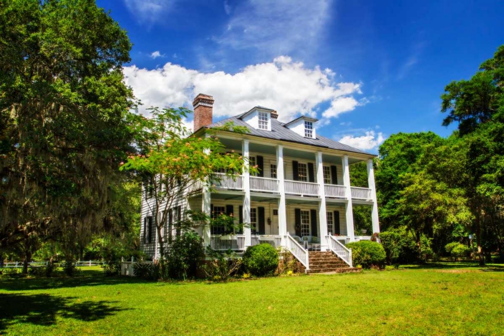 Hopsewee Plantation art print by Alan Hausenflock for $57.95 CAD