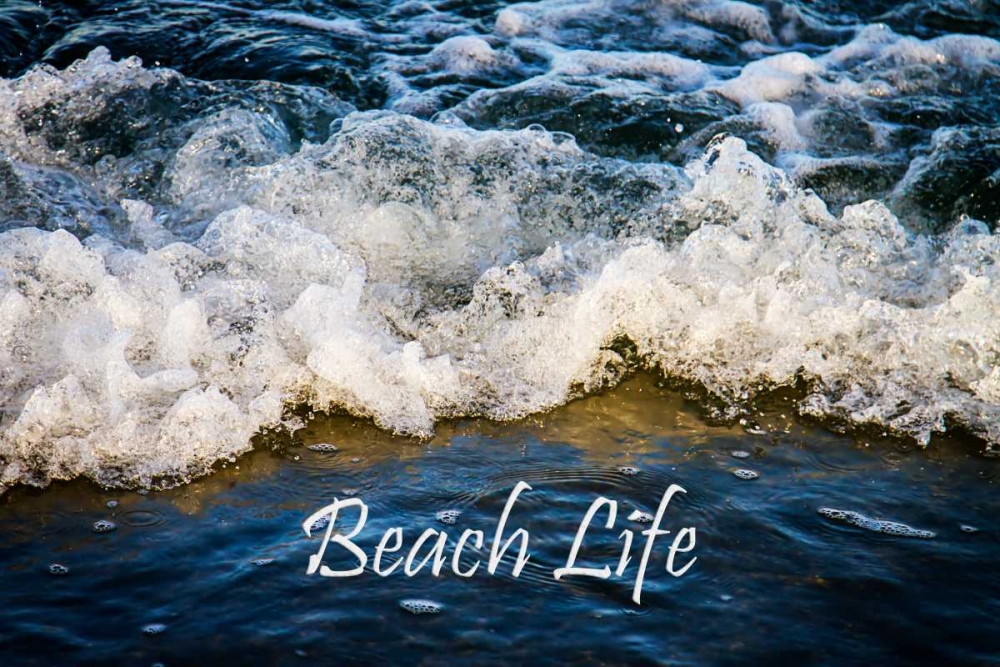 Beach Life art print by Alan Hausenflock for $57.95 CAD