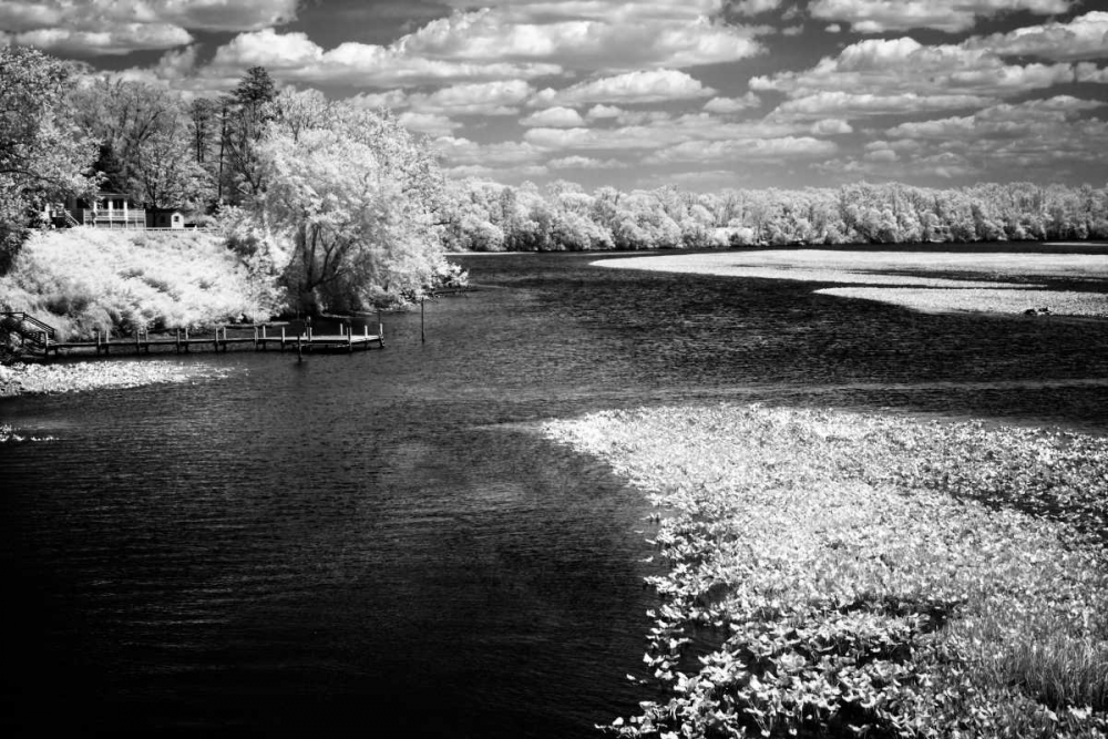 Spring on the Mattaponi II art print by Alan Hausenflock for $57.95 CAD