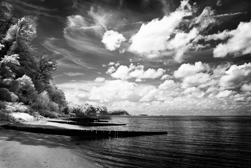 Tappahannock Shores I art print by Alan Hausenflock for $57.95 CAD