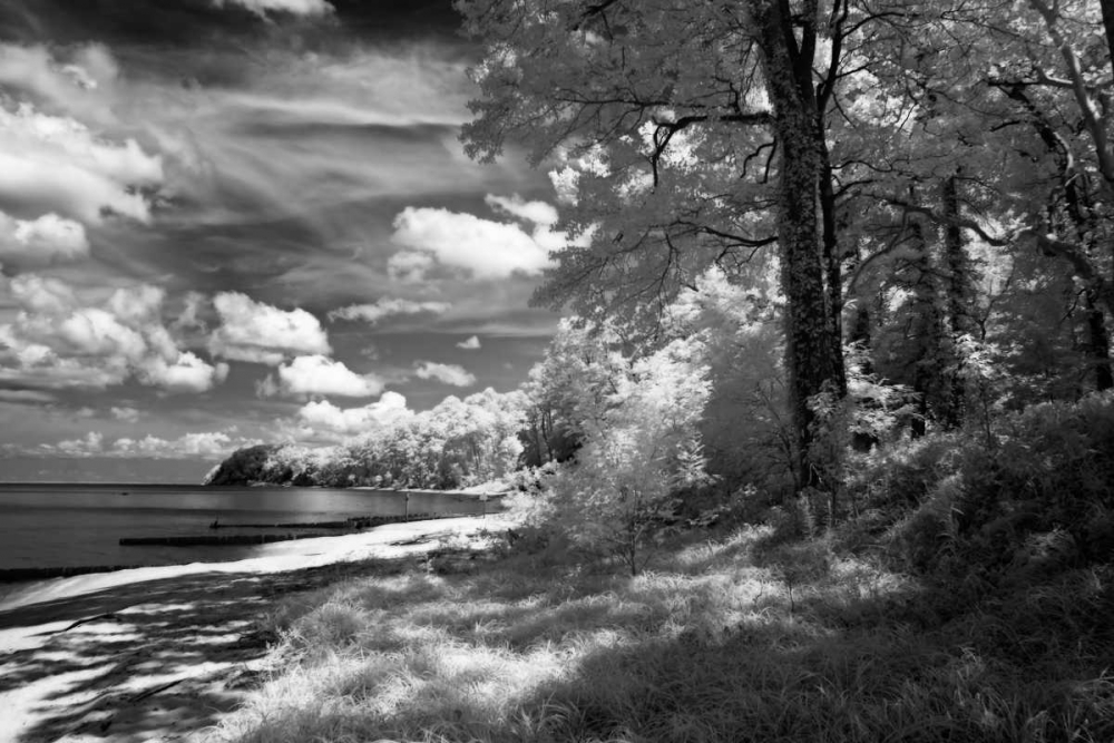 Tappahannock Shores II art print by Alan Hausenflock for $57.95 CAD