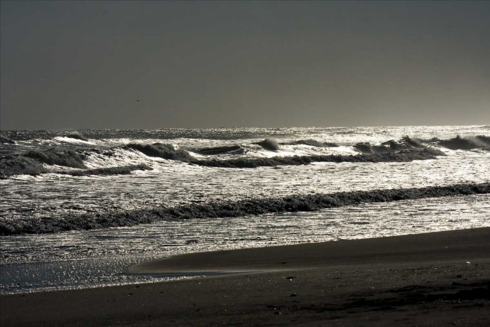 Silver Sea II art print by Alan Hausenflock for $57.95 CAD