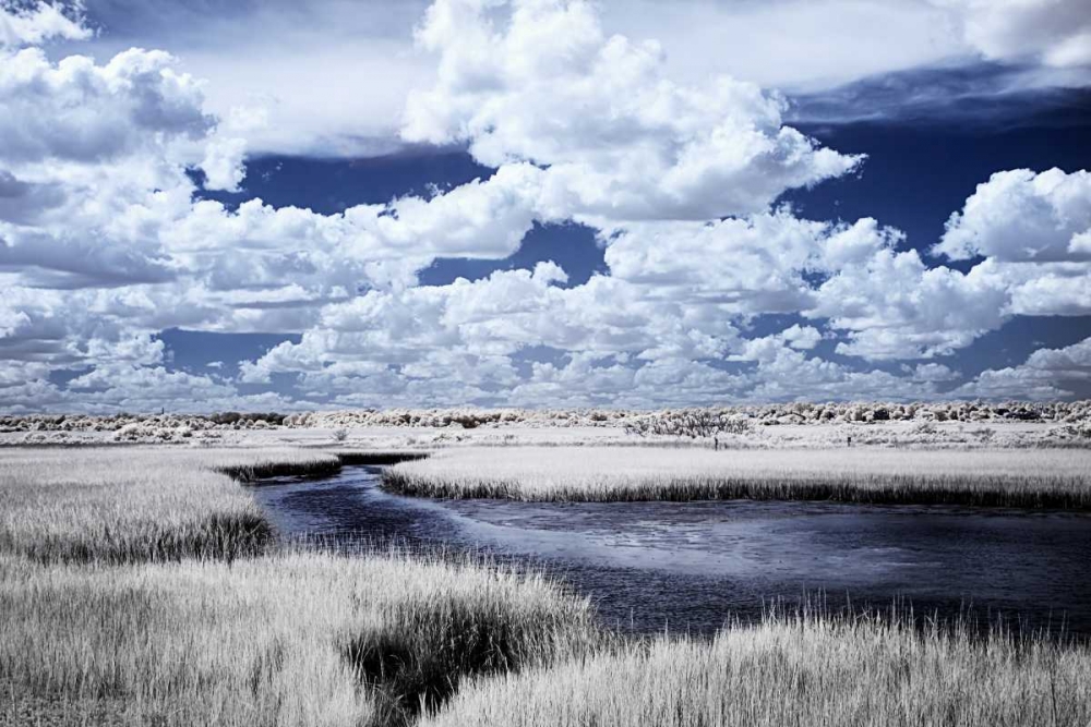 River in the Marsh I art print by Alan Hausenflock for $57.95 CAD