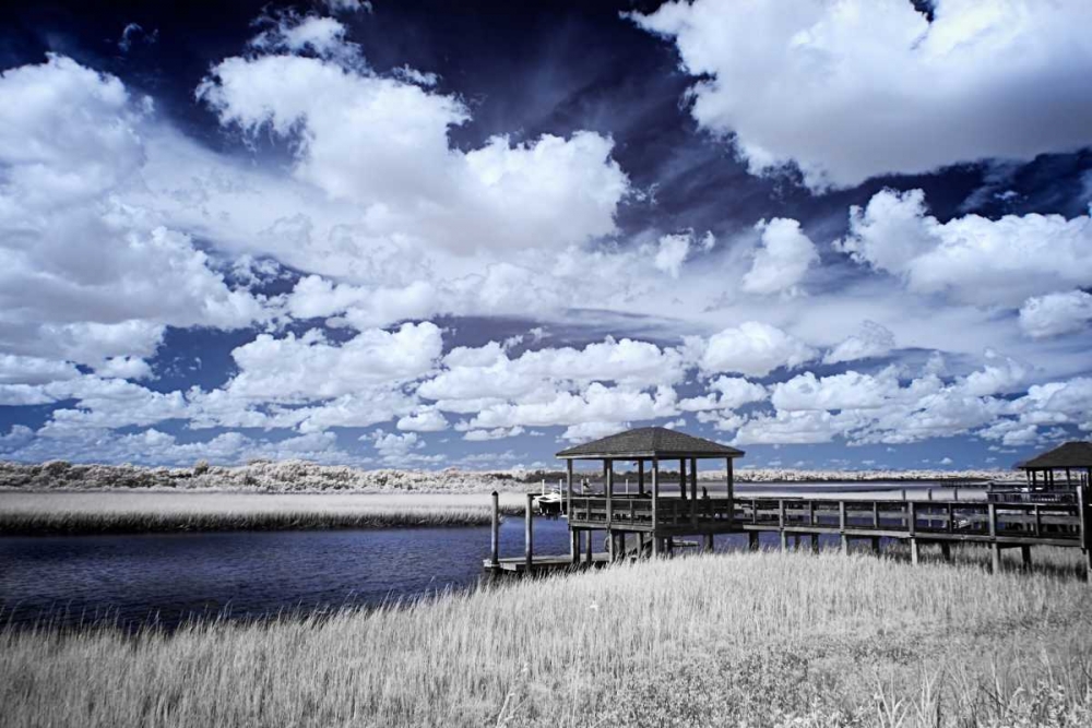 River in the Marsh II art print by Alan Hausenflock for $57.95 CAD