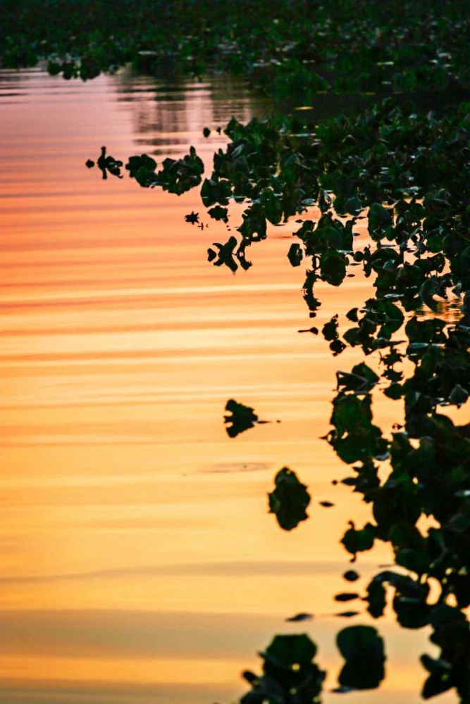 River at Twilight I art print by Alan Hausenflock for $57.95 CAD