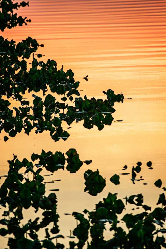 River at Twilight II art print by Alan Hausenflock for $57.95 CAD