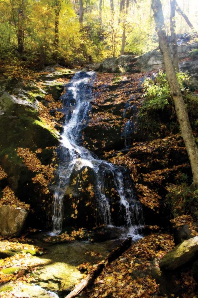 Autumn Waterfall II art print by Alan Hausenflock for $57.95 CAD