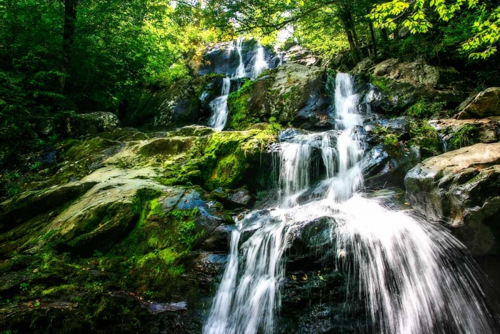 Dark Hollow Falls I art print by Alan Hausenflock for $57.95 CAD