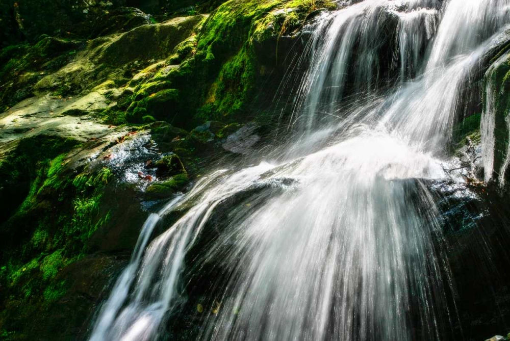 Dark Hollow Falls II art print by Alan Hausenflock for $57.95 CAD
