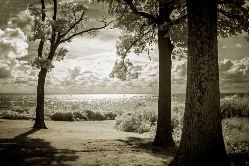 Cobb Island Afternoon II art print by Alan Hausenflock for $57.95 CAD