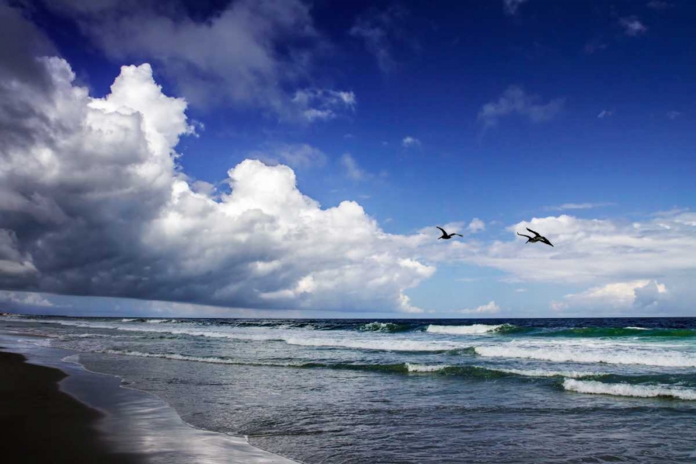 Awesome Beach Day I art print by Alan Hausenflock for $57.95 CAD