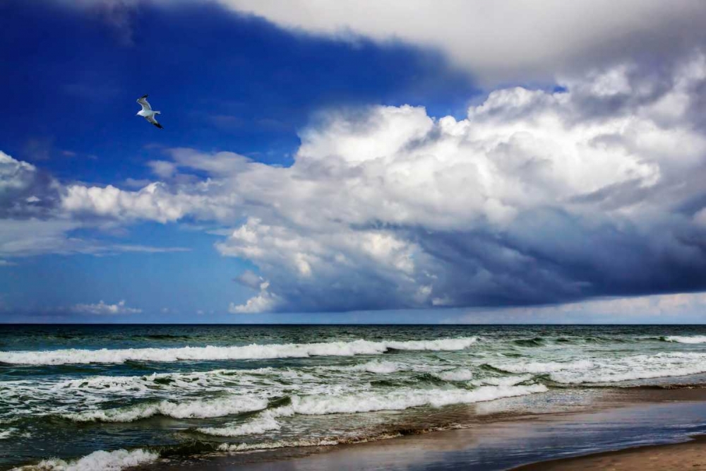 Awesome Beach Day II art print by Alan Hausenflock for $57.95 CAD