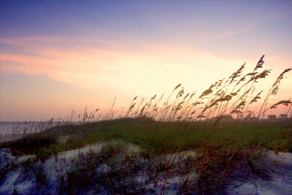 Rosey Sunset II art print by Alan Hausenflock for $57.95 CAD
