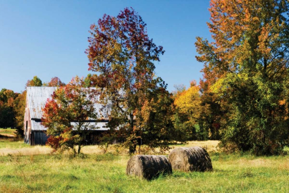 Autumn Scene I art print by Alan Hausenflock for $57.95 CAD