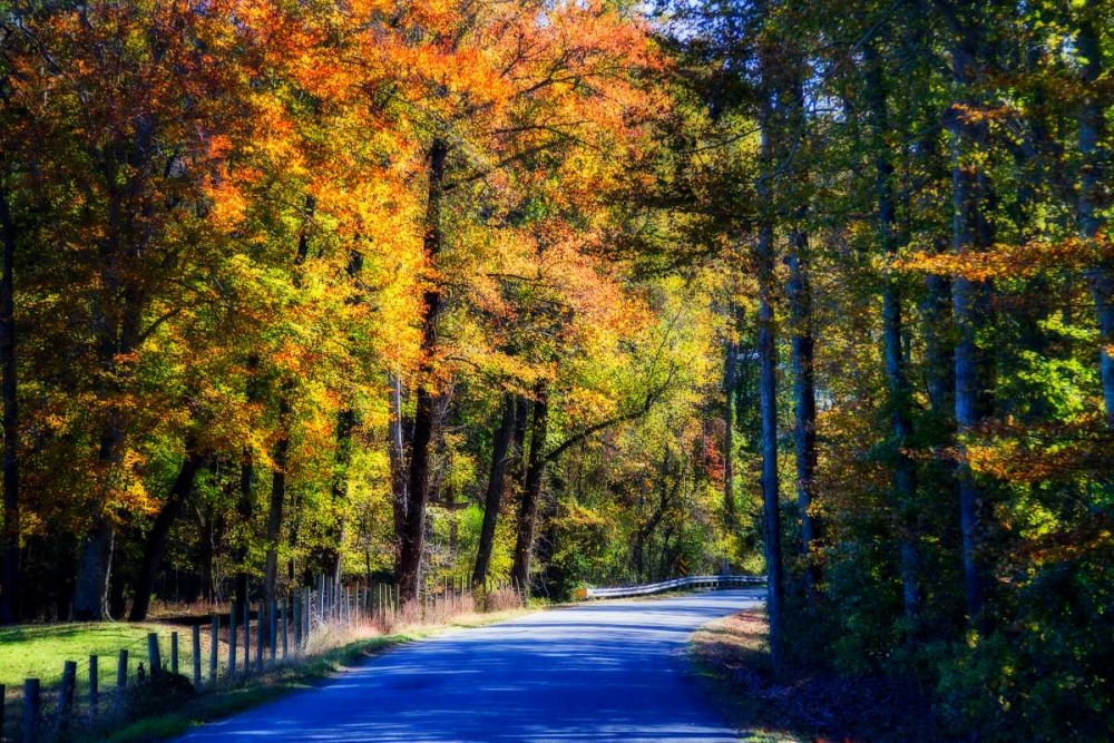 Twisting Autumn Road II art print by Alan Hausenflock for $57.95 CAD