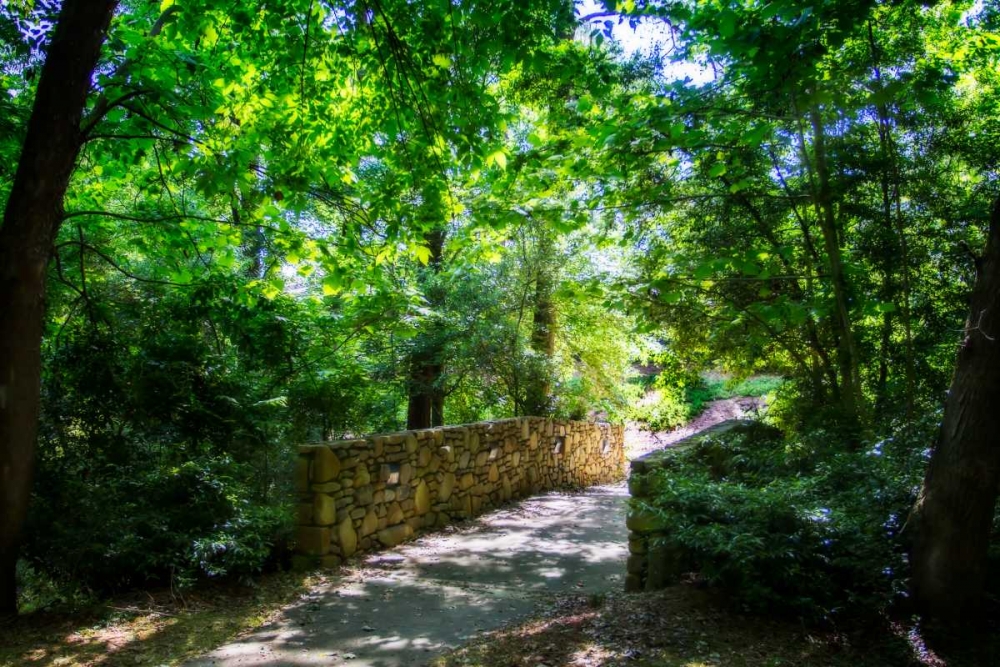 Shaded Bridge I art print by Alan Hausenflock for $57.95 CAD