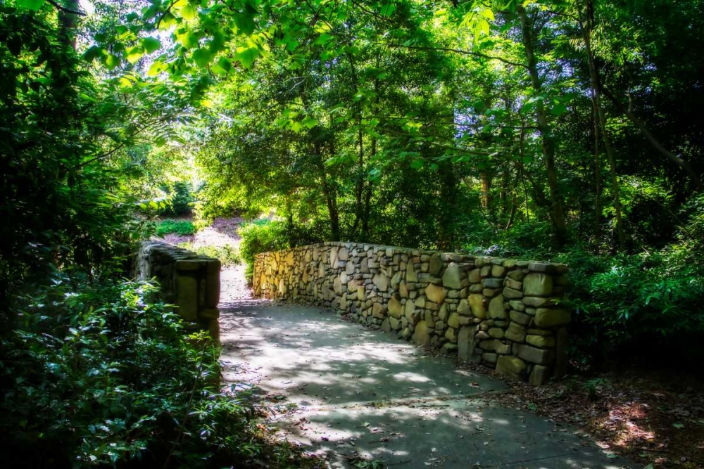 Shaded Bridge II art print by Alan Hausenflock for $57.95 CAD