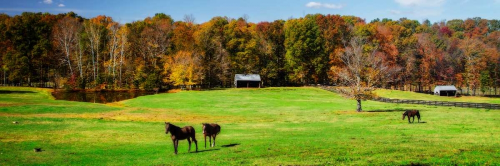 Virginia Horse Farm I art print by Alan Hausenflock for $57.95 CAD