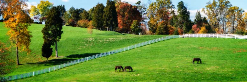 Virginia Horse Farm II art print by Alan Hausenflock for $57.95 CAD