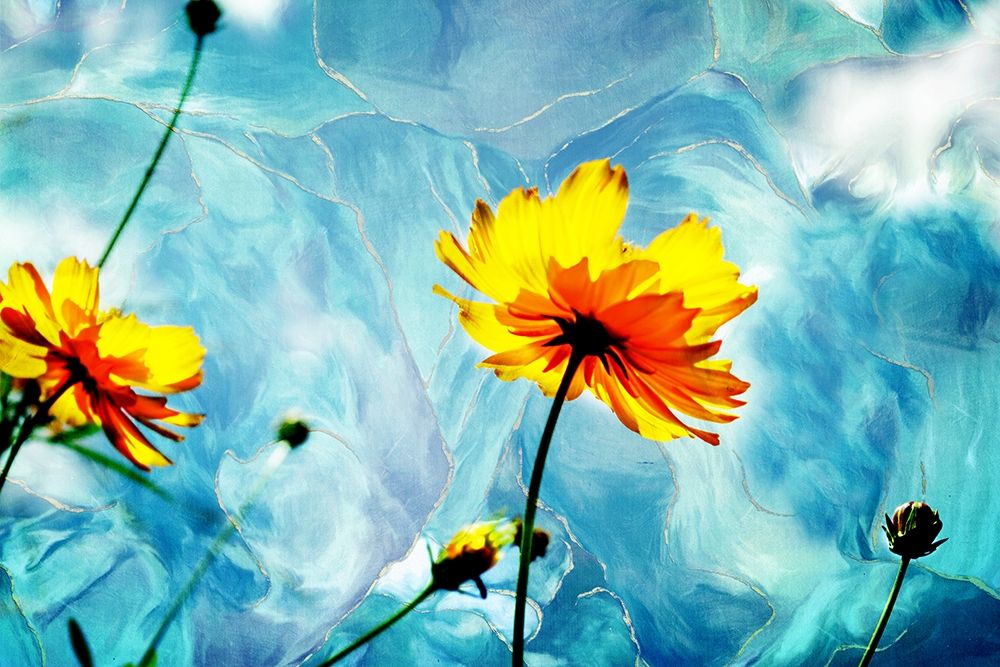 Reaching for the Sun III art print by Alan Hausenflock for $57.95 CAD