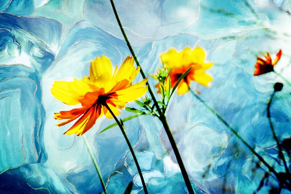 Reaching for the Sun IV art print by Alan Hausenflock for $57.95 CAD
