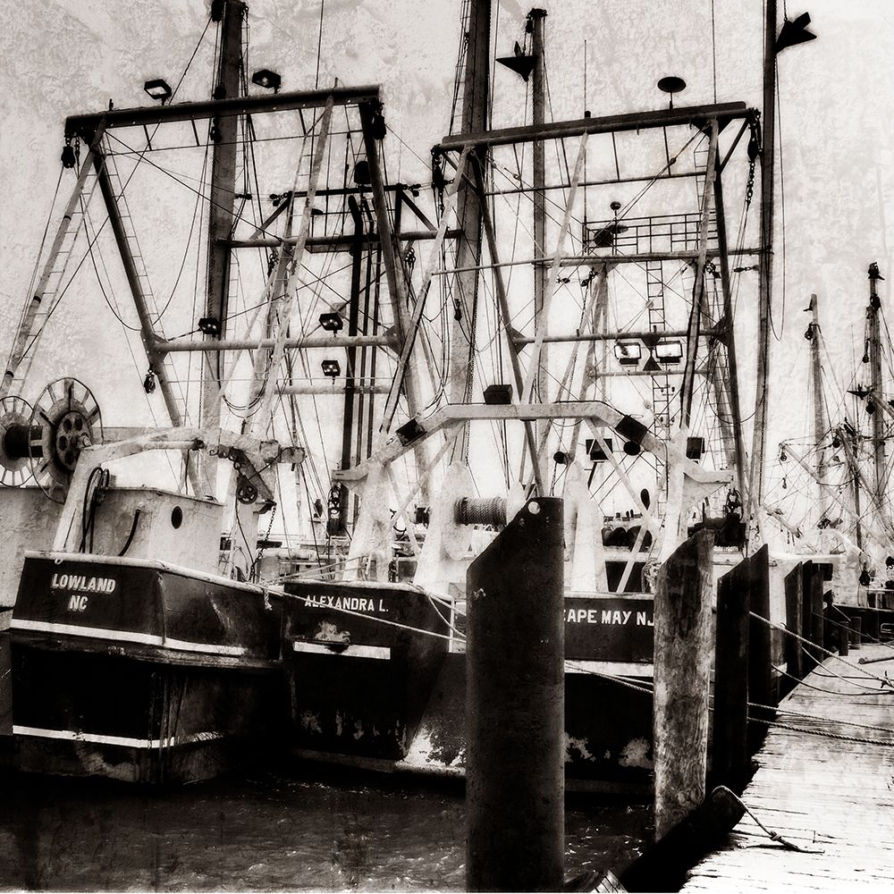 Cape May Fleet II art print by Alan Hausenflock for $57.95 CAD