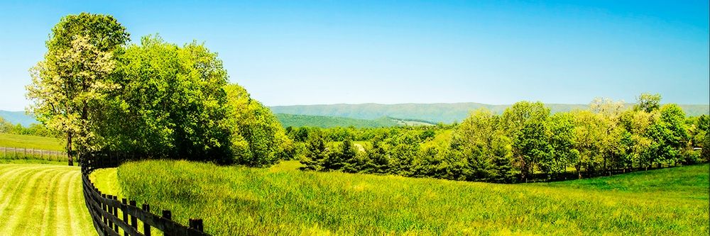 Mountain Vista II art print by Alan Hausenflock for $57.95 CAD