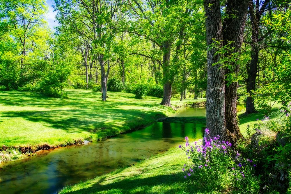 Gentle Stream II art print by Alan Hausenflock for $57.95 CAD