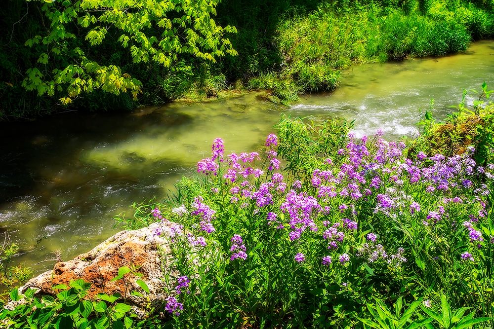 Gentle Stream III art print by Alan Hausenflock for $57.95 CAD