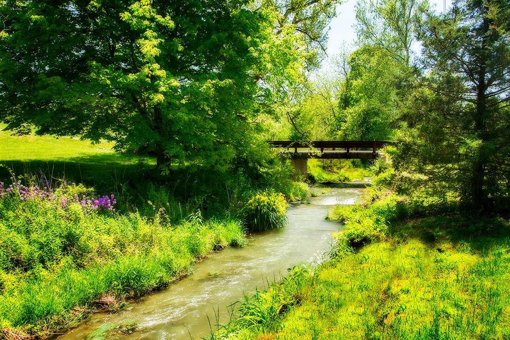 Gentle Stream IV art print by Alan Hausenflock for $57.95 CAD