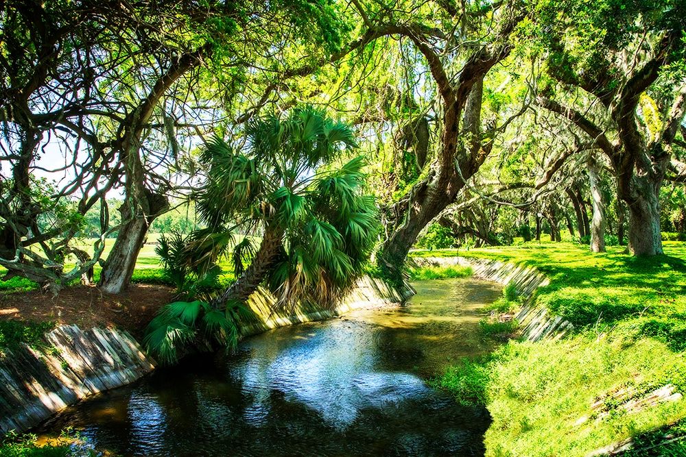 Saint Simons Waterway art print by Alan Hausenflock for $57.95 CAD
