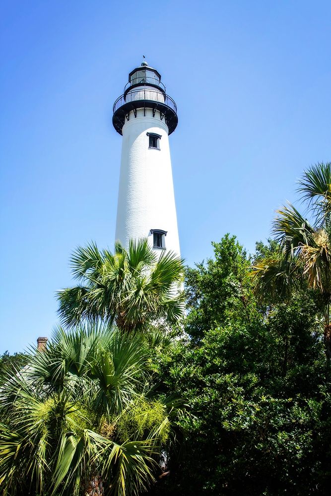 Saint Simons Lighthouse I art print by Alan Hausenflock for $57.95 CAD