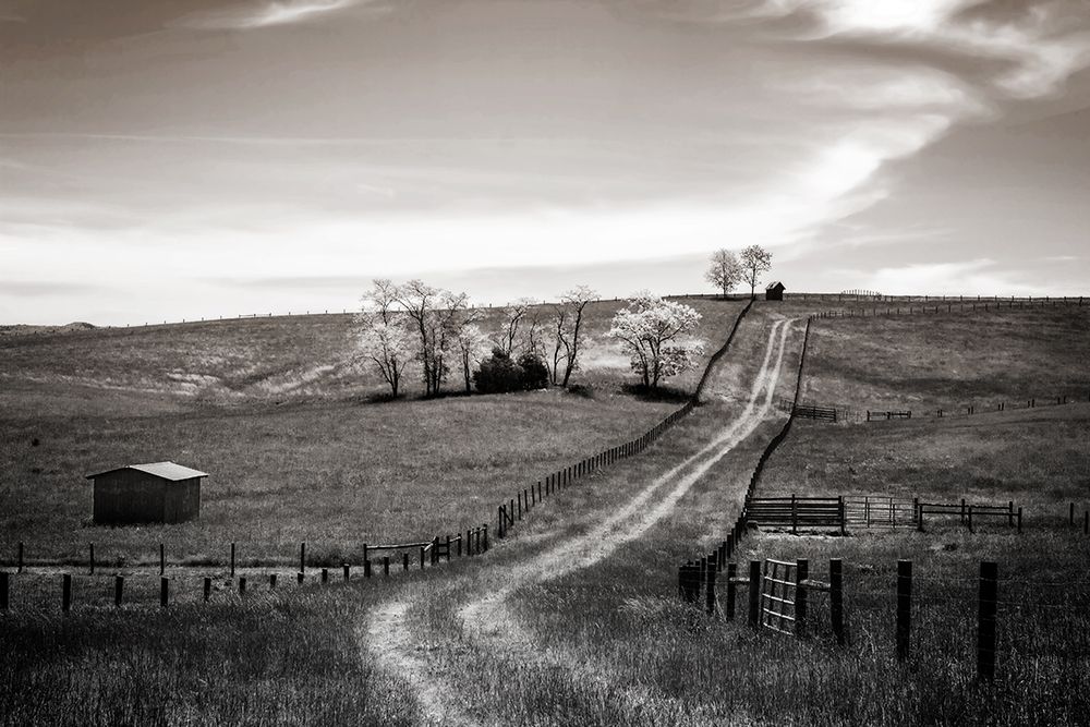 Lonely Road I art print by Alan Hausenflock for $57.95 CAD