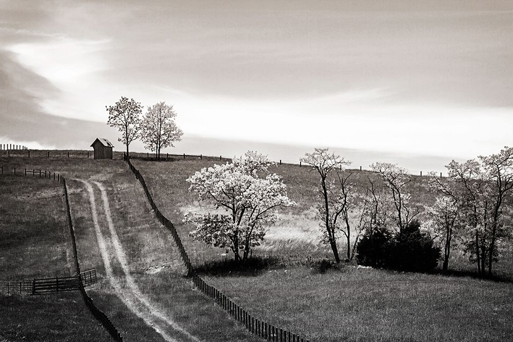 Lonely Road II art print by Alan Hausenflock for $57.95 CAD