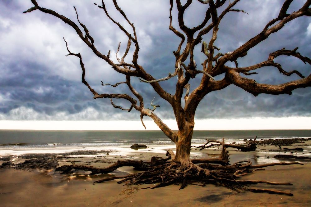 Storm is Coming II art print by Alan Hausenflock for $57.95 CAD