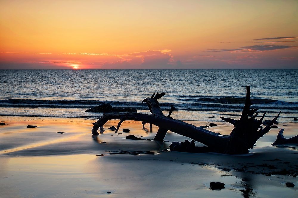 Jekyll Island Sunrise I art print by Alan Hausenflock for $57.95 CAD