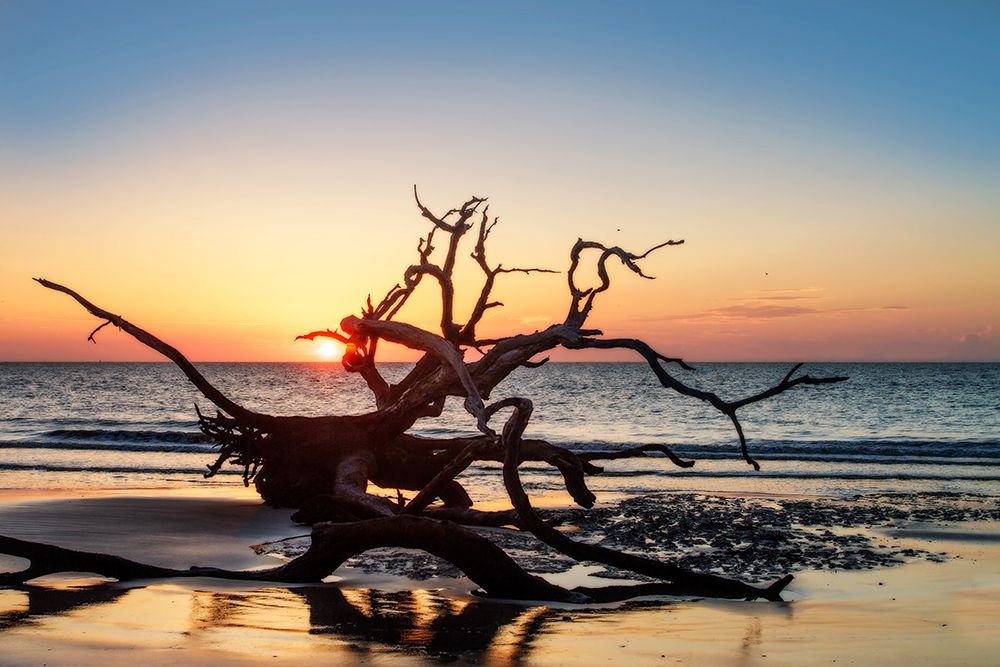 Jekyll Island Sunrise III art print by Alan Hausenflock for $57.95 CAD